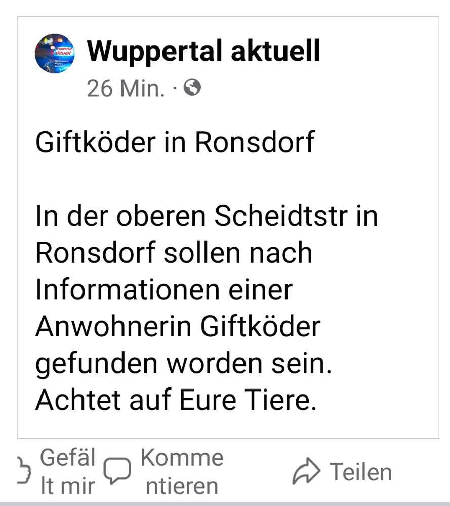Giftköder-Giftköder-Profilbild