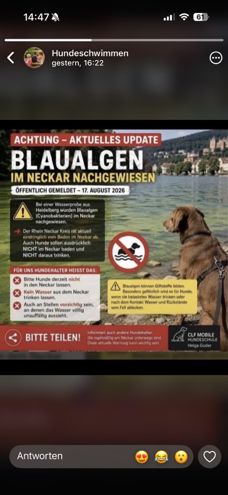 Giftköder-Blaualgen-Profilbild