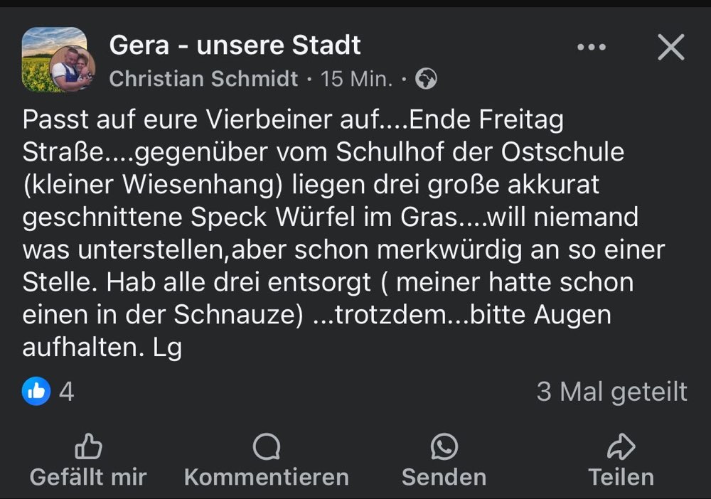 Giftköder-Giftköder (Speckwürfel)-Profilbild