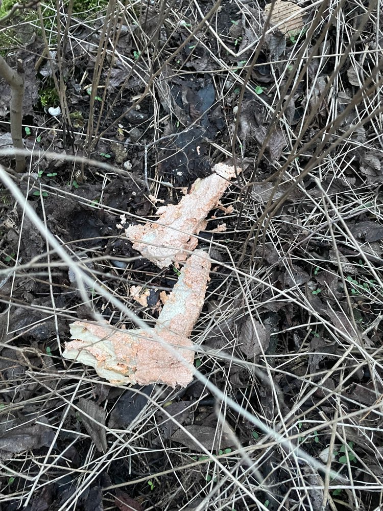 Giftköder-Ausgelegtes Fleisch oder Fisch-Profilbild
