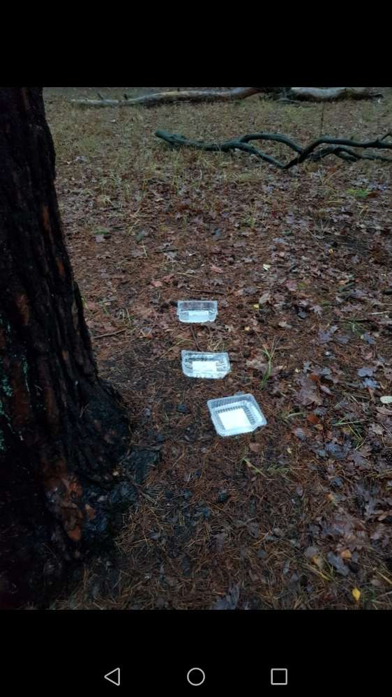 Giftköder-Möglicherweise Giftköder-Profilbild