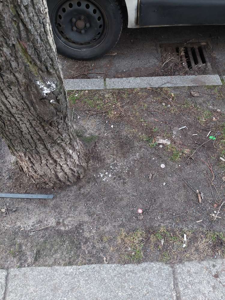 Giftköder-Weißes Pulver-Profilbild