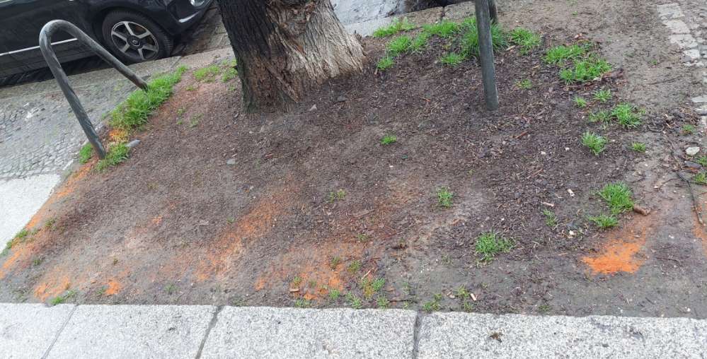 Giftköder-Rote Substanz um Baum-Profilbild