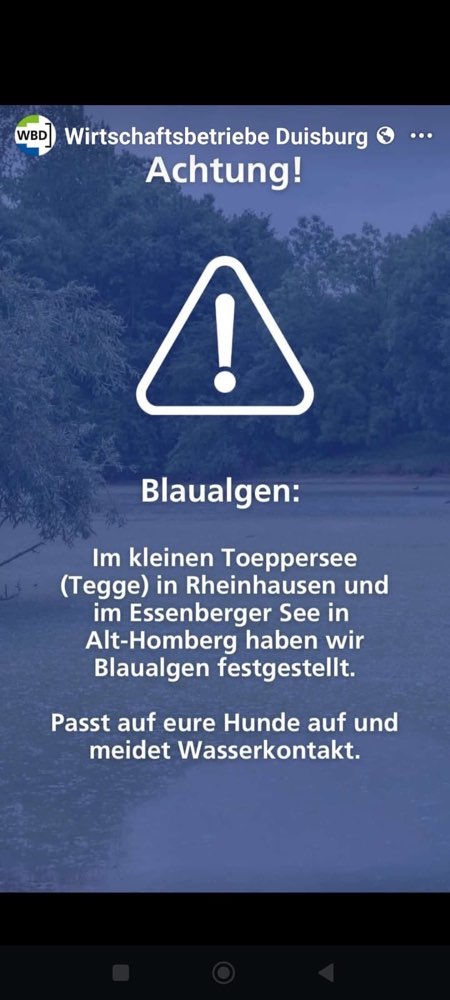 Giftköder-Blaualgen in einigen Duisburger Seen-Profilbild
