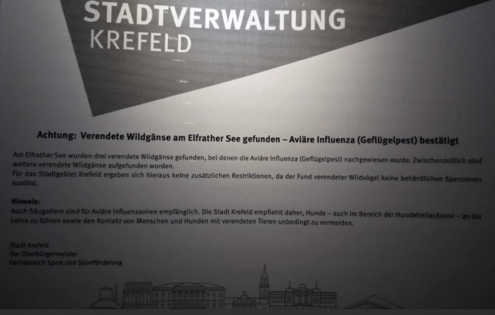 Giftköder-Geflügelpest am Elfrather See-Profilbild