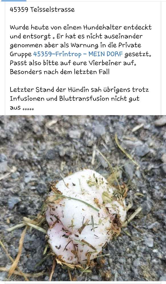 Giftköder-Giftköder-Profilbild