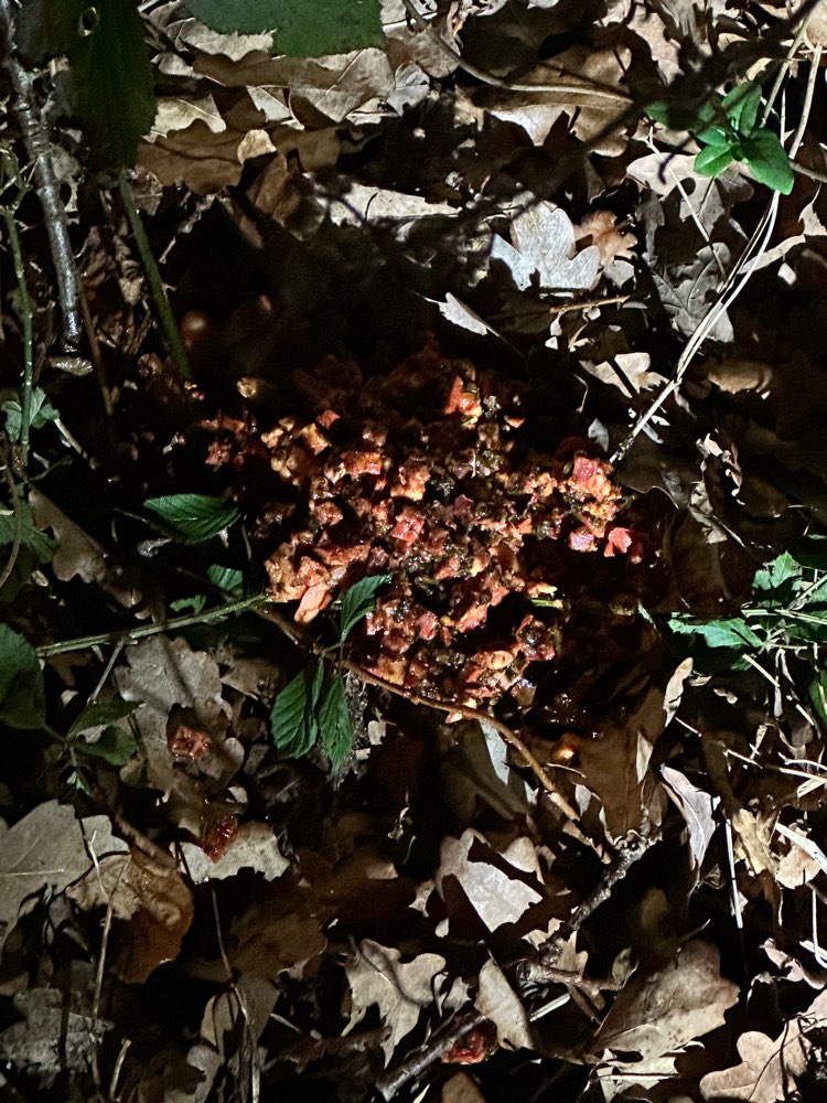 Giftköder-Verdacht auf Giftköder-Profilbild