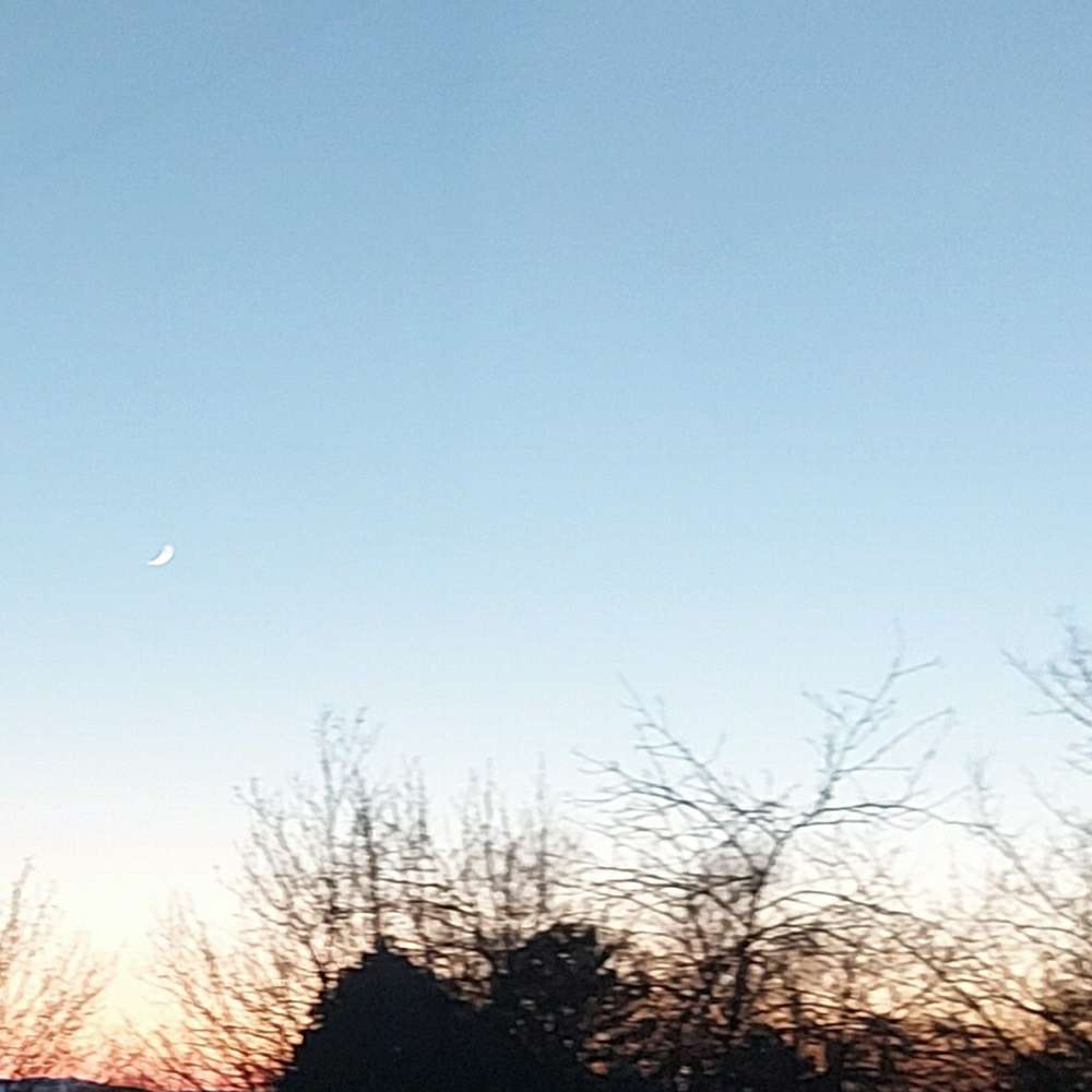 Hundetreffen-Gassi gehen in Gudensberg :D-Profilbild