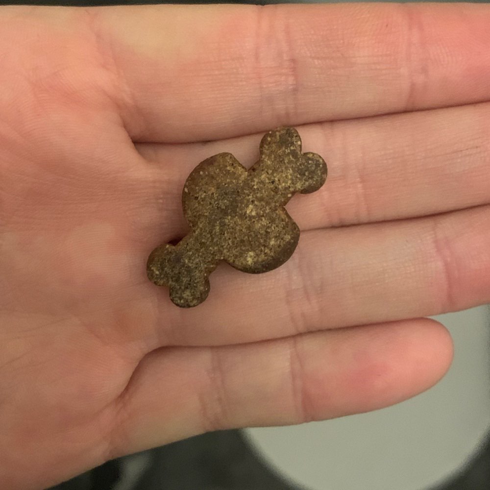 Giftköder-Leckerchen?!-Profilbild