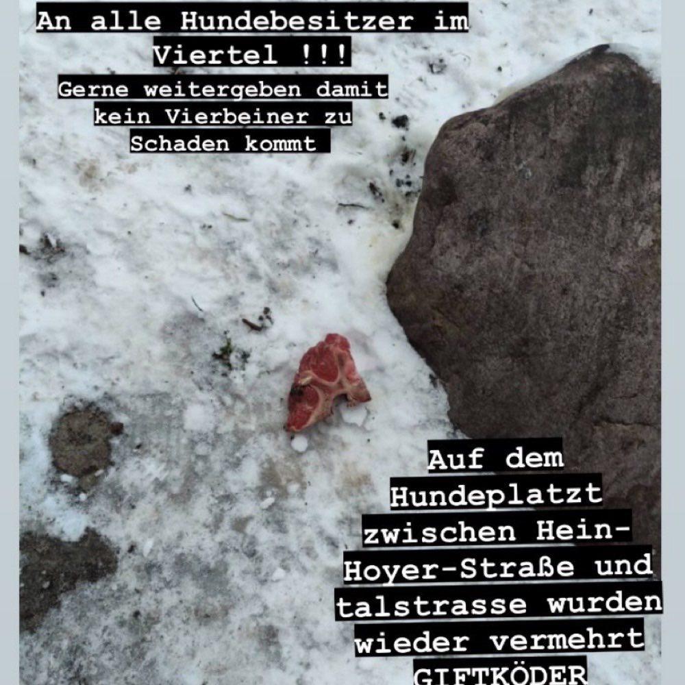 Giftköder-Giftköder-Profilbild