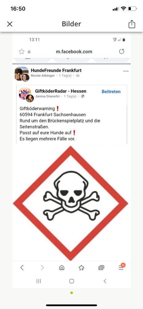 Giftköder-Giftköder Brückenspielplatz-Profilbild