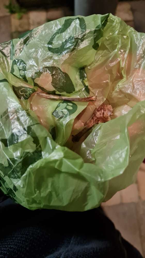 Giftköder-Hühnerknochen-Profilbild