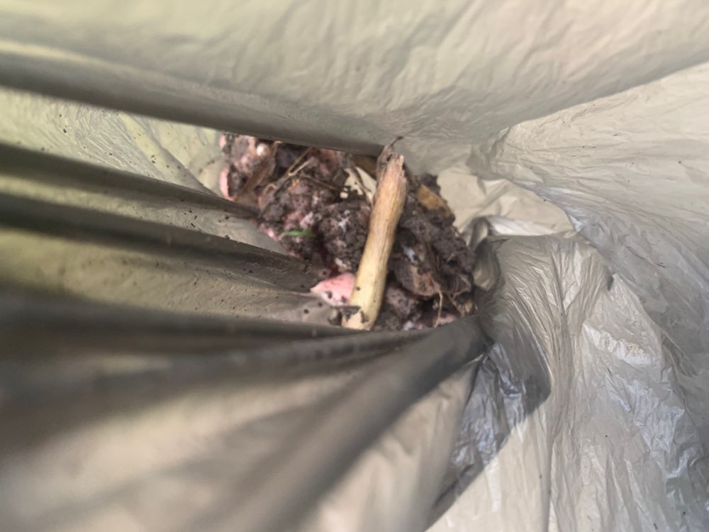 Giftköder-Rohes Fleisch auf Wiese gelegt-Profilbild