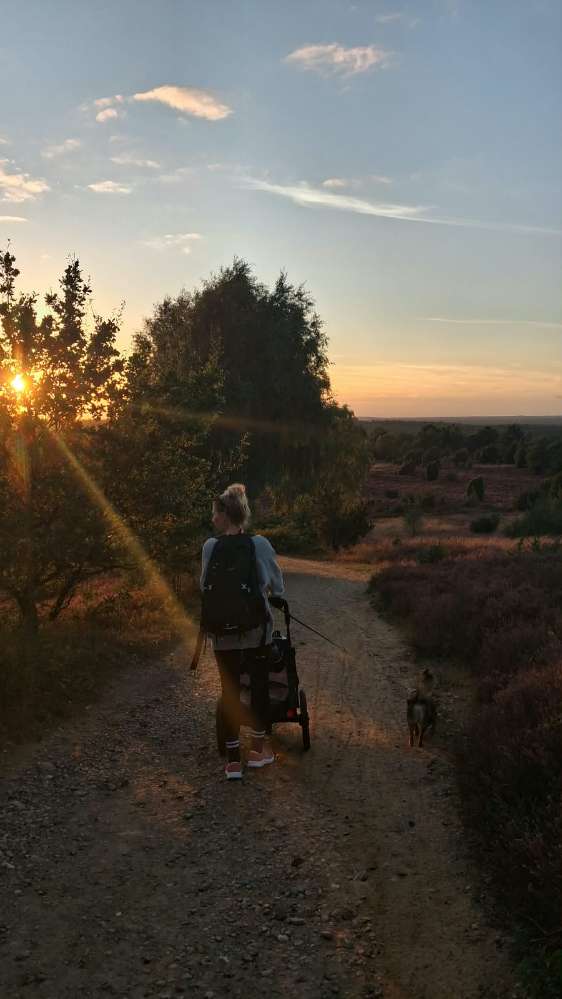 Hundetreffen-Gemeinsame Spaziergänge im Volkspark/Altona-Profilbild