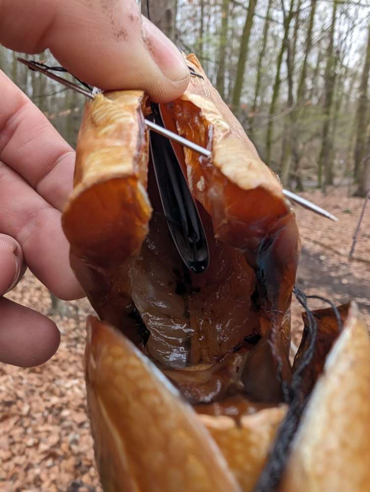 Giftköder-Giftköder Fund im Köllnischen Wald-Profilbild