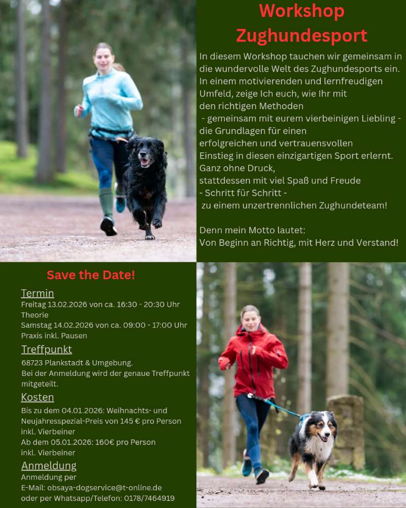 Hundetreffen-Workshop Canicross/Zughundesport-Profilbild