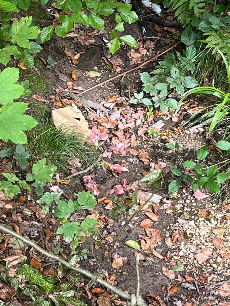 Giftköder-Giftköder Verdacht-Profilbild