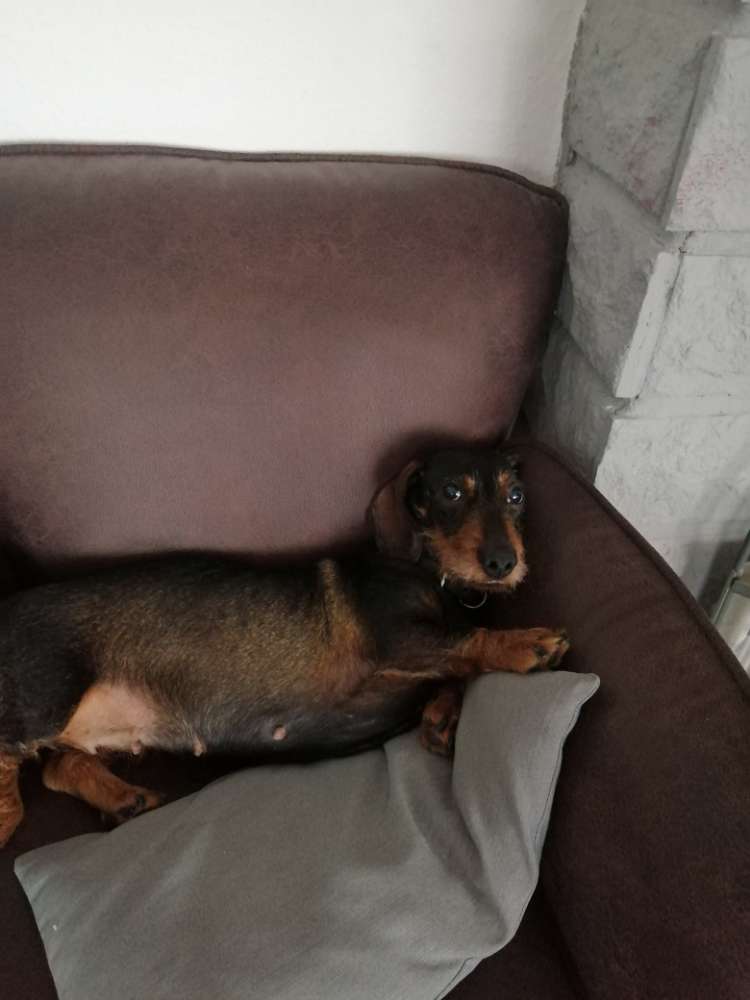 Suchmeldung-Abbi-Profilbild