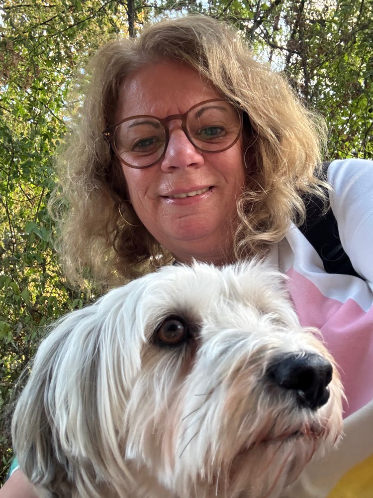 Hundetreffen-Balou sucht einen Kumpel für gemeinsame Spaziergänge-Profilbild
