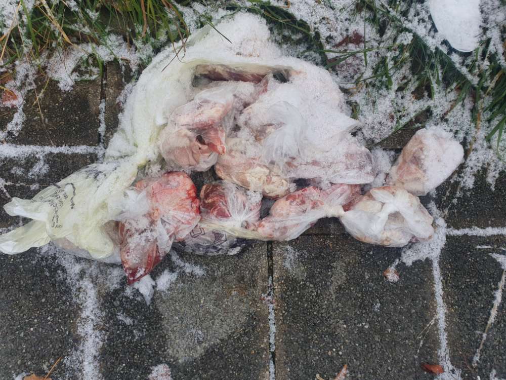 Giftköder-Einige KG Fleisch-Profilbild