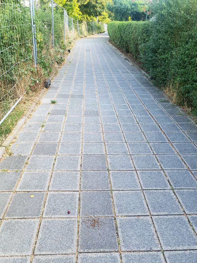 Giftköder-Evtl Giftköder-Profilbild