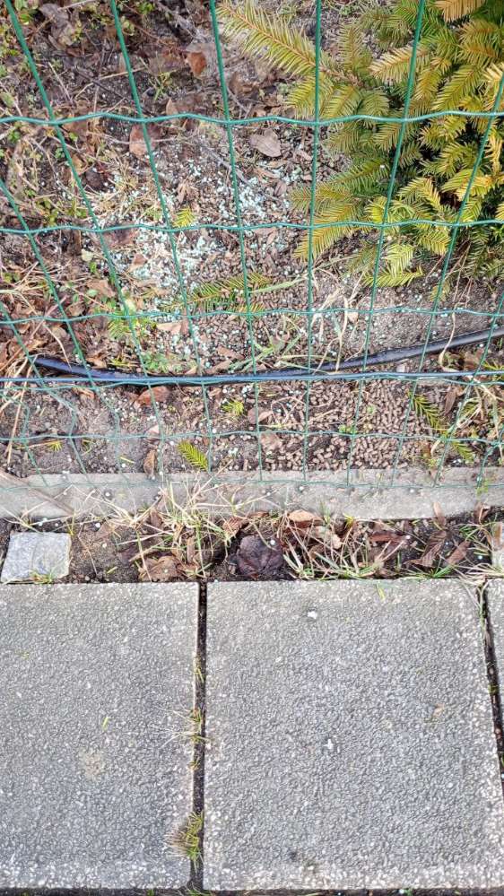 Giftköder-Dünger-Profilbild