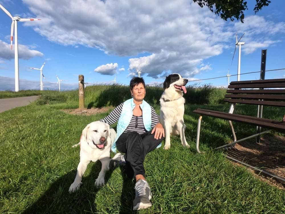 Hundetreffen-Treffen und Gassirunde mit Freilauf-Profilbild