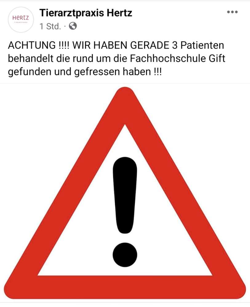 Giftköder-Giftköder-Profilbild