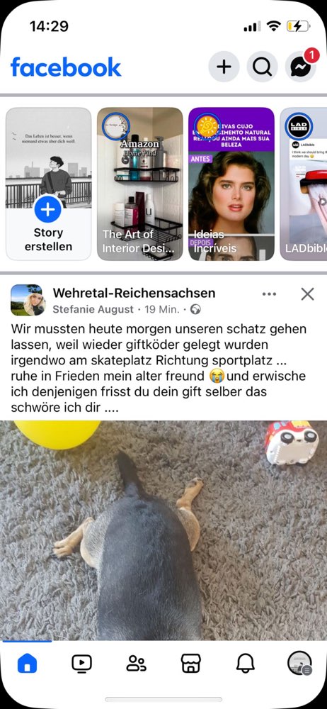 Giftköder-Giftköder!!!-Profilbild