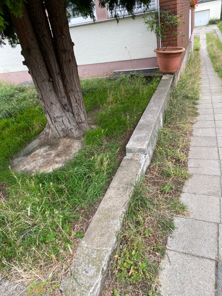 Giftköder-Ausgelegtes Futter-Profilbild