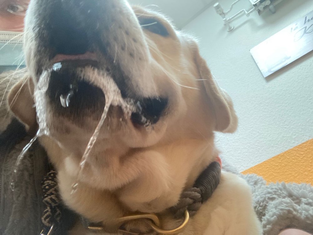 Giftköder-Giftköder im Schlosspark-Profilbild