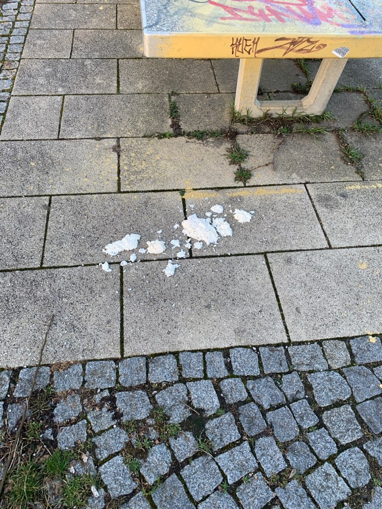 Giftköder-Vermutlicher Giftköder-Profilbild