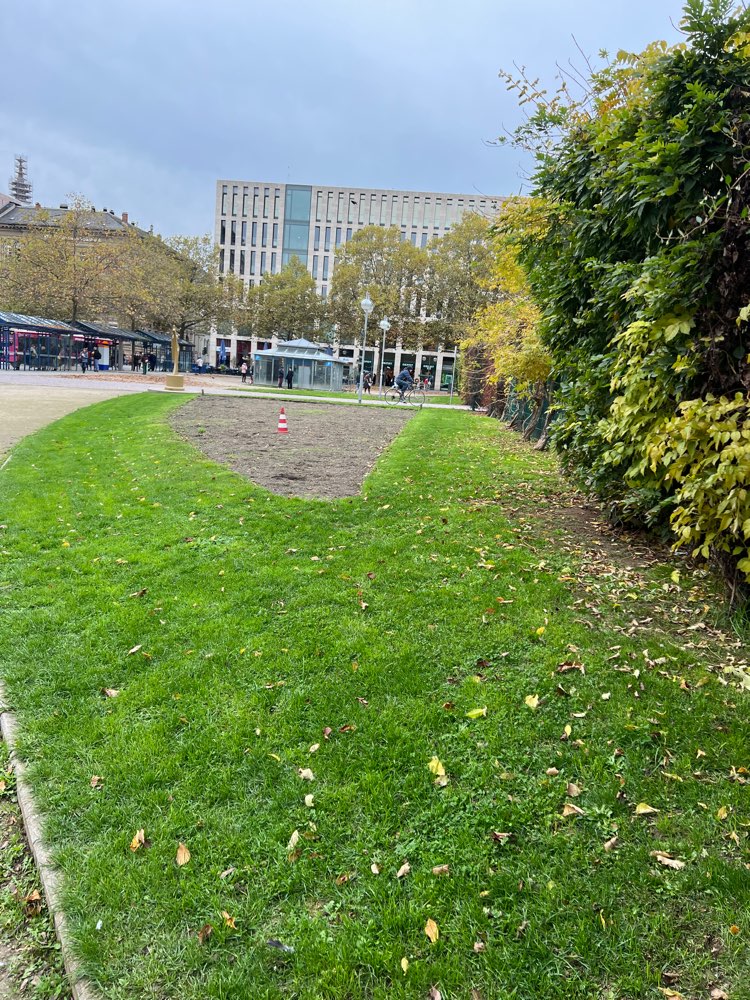 Giftköder-Giftköder-Profilbild