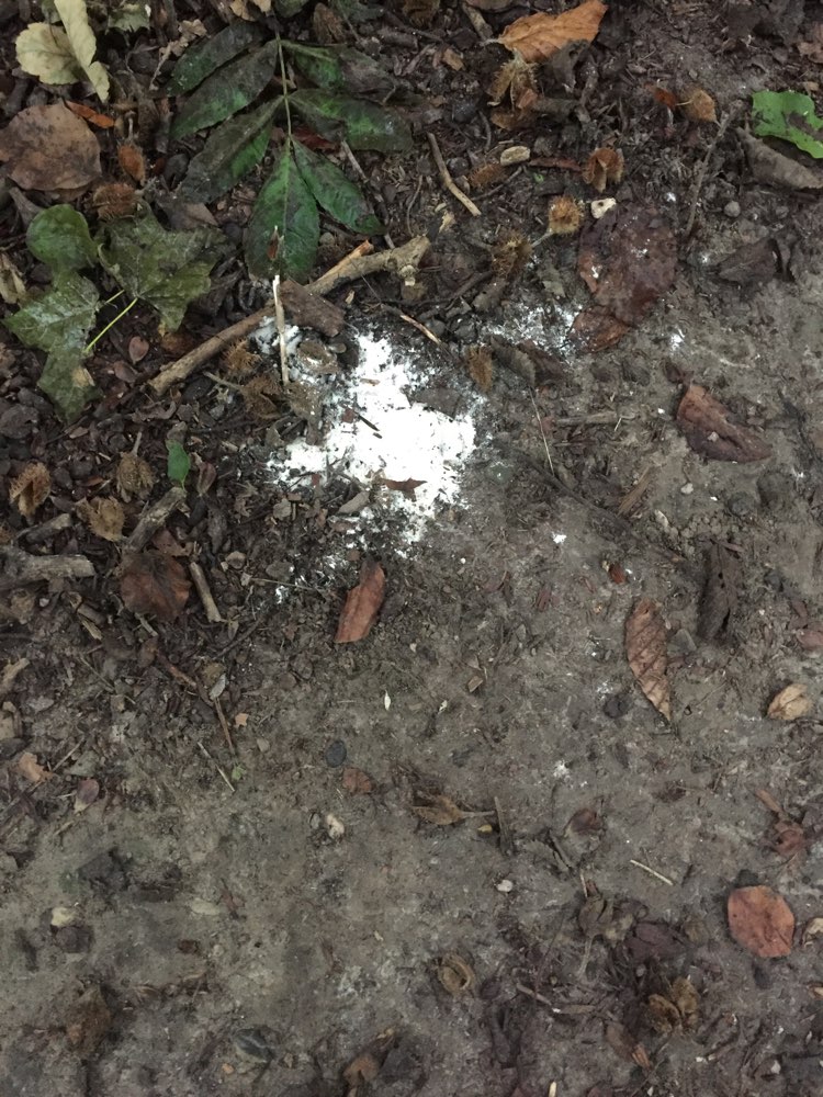 Giftköder-Weißes Pulver nähe Aumeister-Profilbild