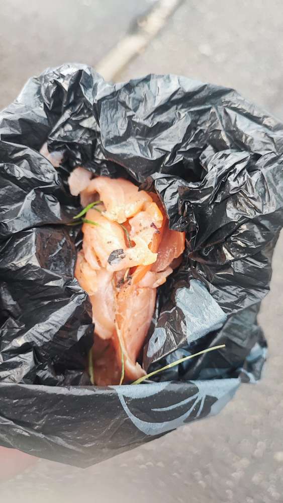 Giftköder-Verdächtiger Lachs-Profilbild