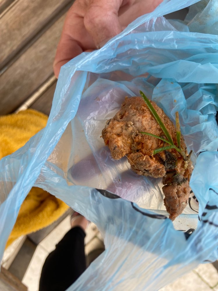 Giftköder-Verdächtiges Fleisch-Profilbild