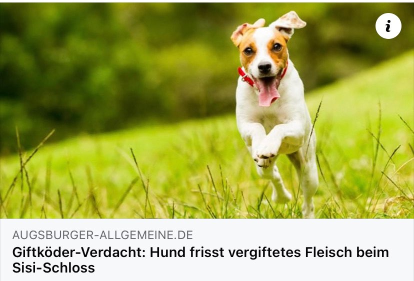 Giftköder-Vergiftetes Fleisch-Profilbild