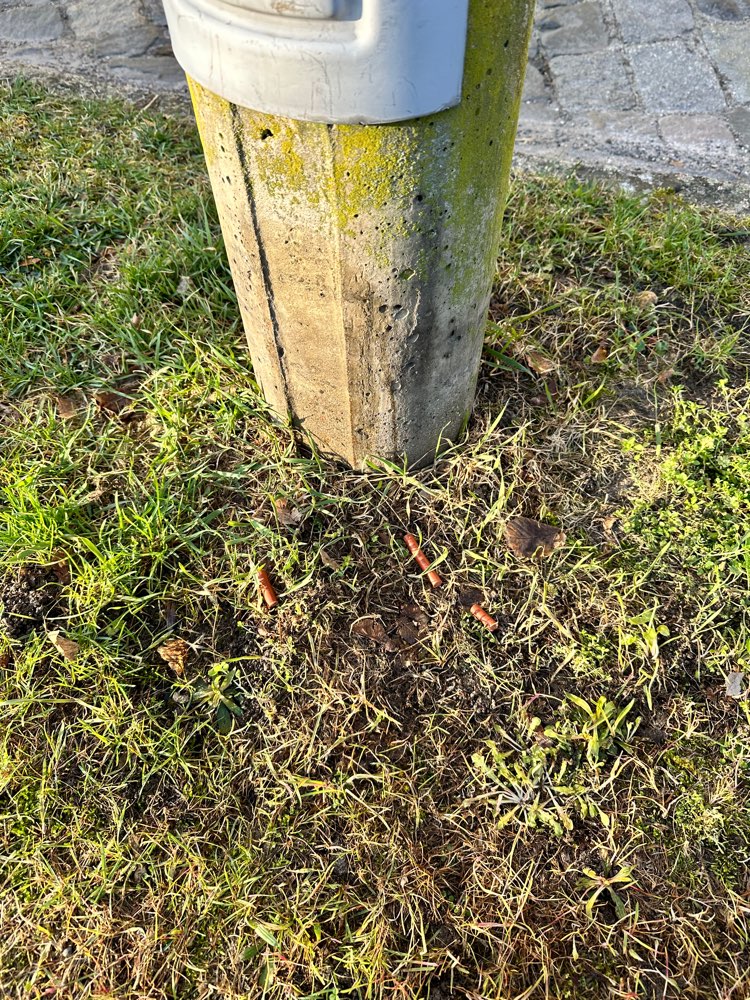 Giftköder-Ausgelegte Leckerli-Profilbild