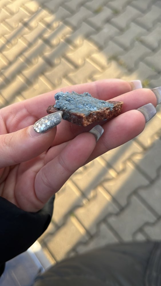 Giftköder-Giftköder, Leckerli mit Gift-Profilbild