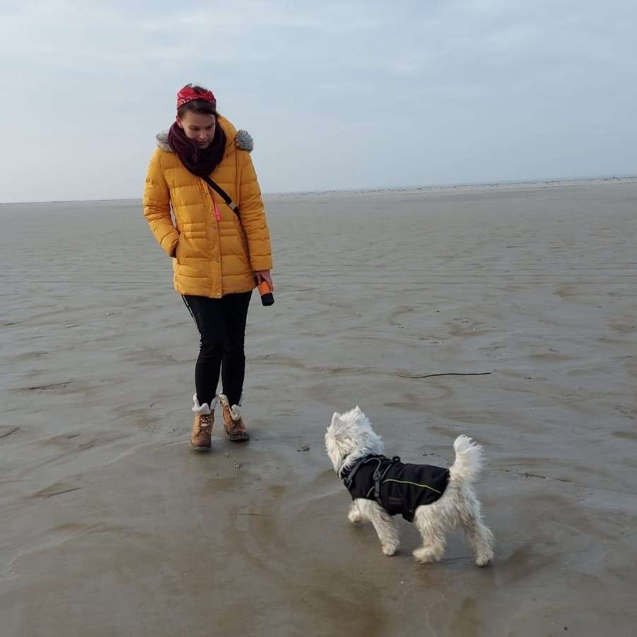 Hundetreffen-Social Walk/ Hundekontakt-Profilbild