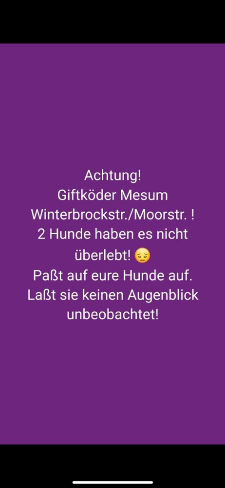 Giftköder-Giftköder-Profilbild