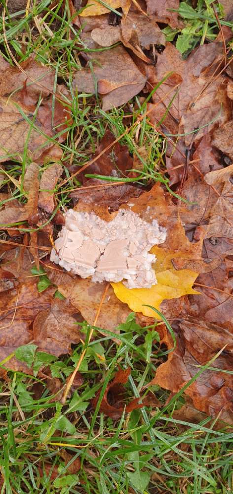 Giftköder-Schokoladen/ Puffreisstücke-Profilbild