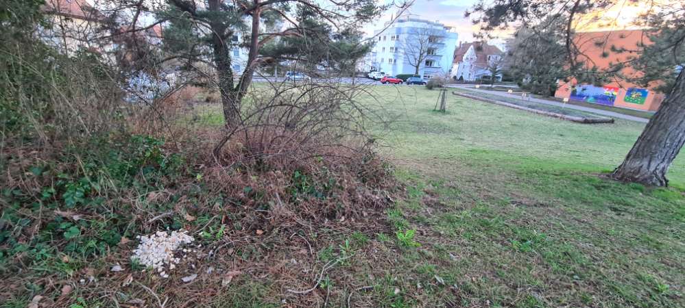 Giftköder-Brot mit grünem Zeug .. !!-Profilbild