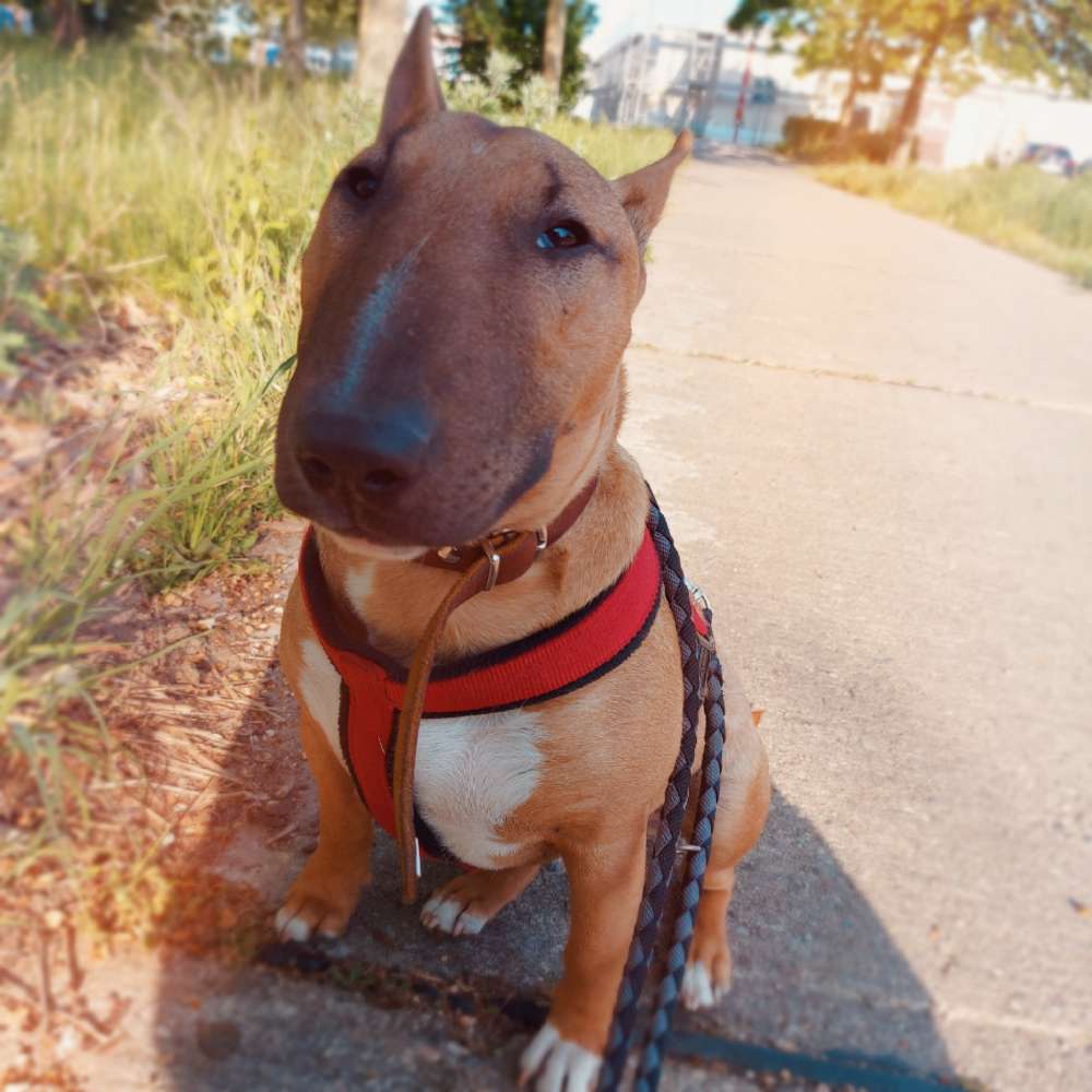 Das 1. Foto im neuen Zuhause Banner