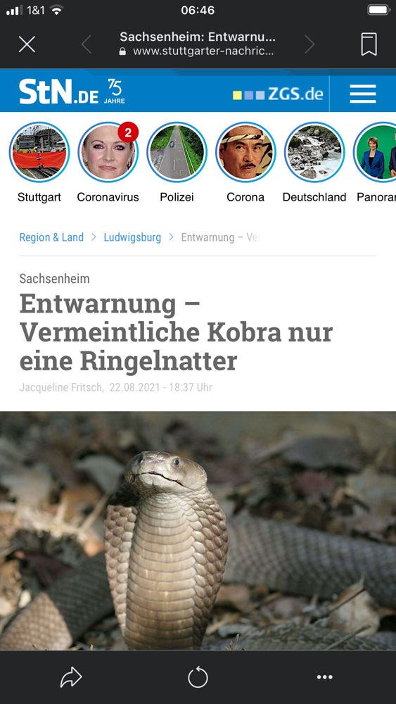 Giftköder-Giftschlange-Profilbild