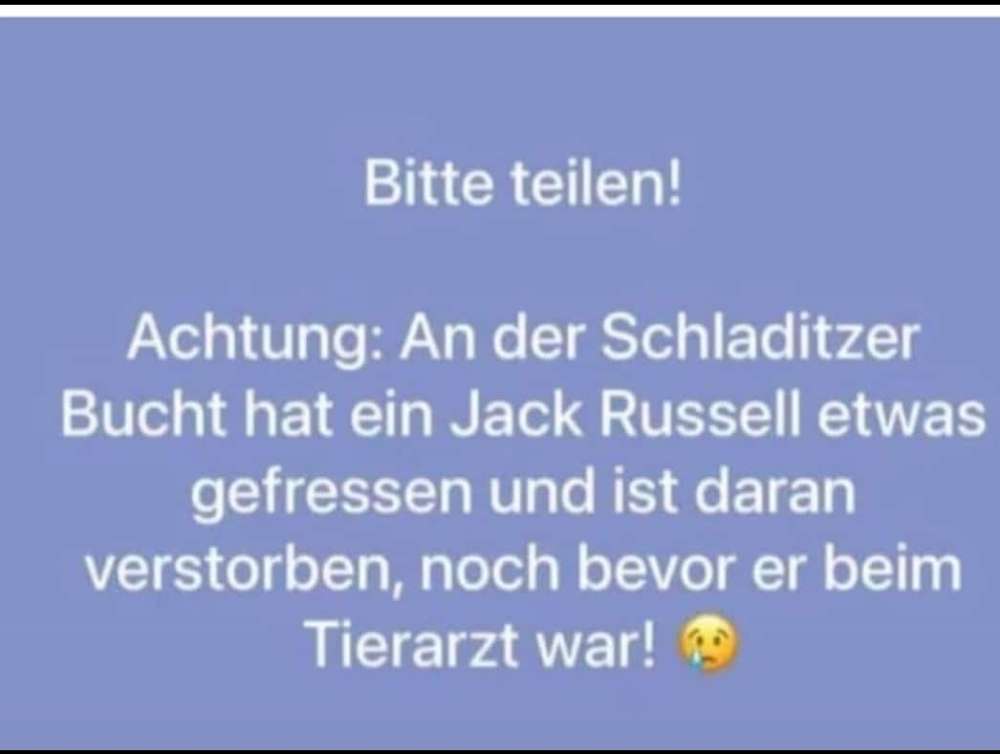 Giftköder-Ameisengift-Profilbild