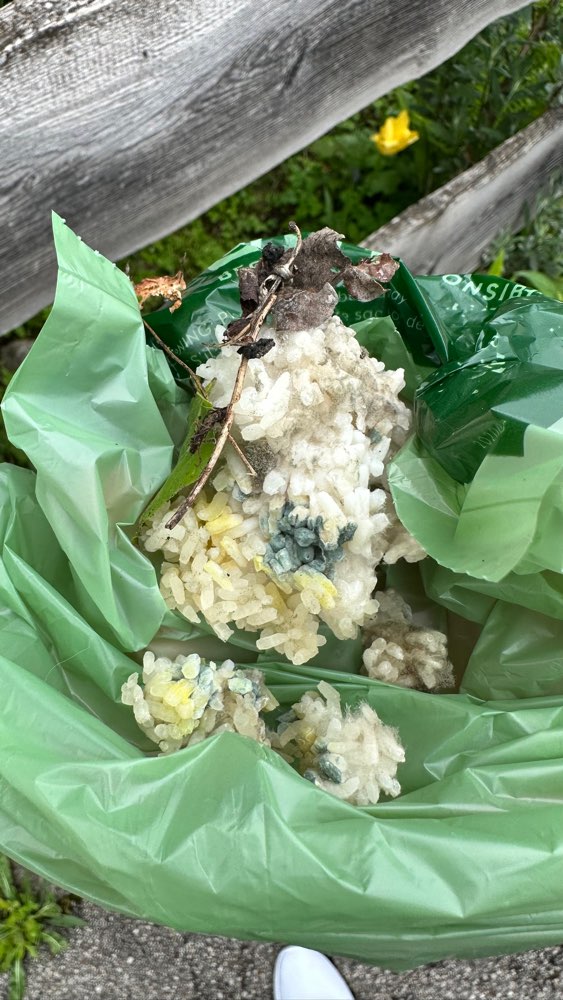 Giftköder-Reisballen - innen bläulich-Profilbild