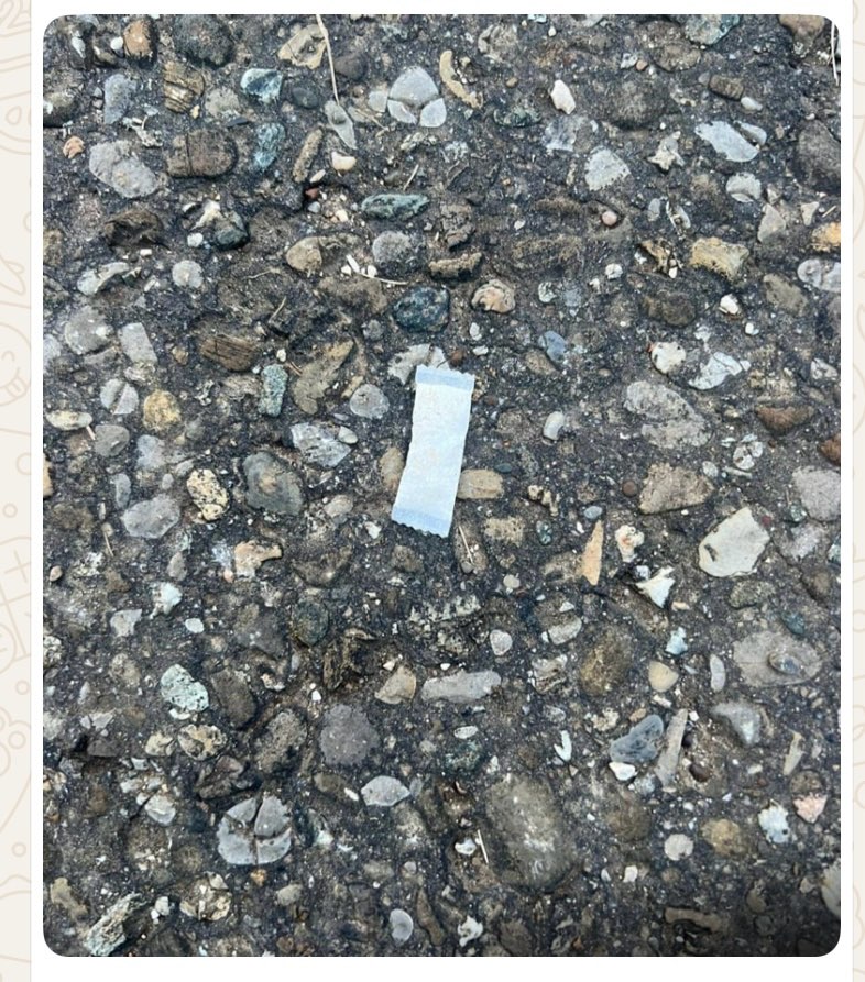 Giftköder-Nikotinbeutel auf der Wiese-Profilbild