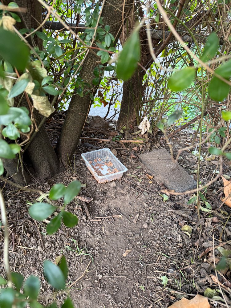 Giftköder-Vermutlich Giftköder-Profilbild