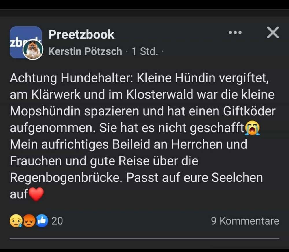 Giftköder-Giftköder-Profilbild